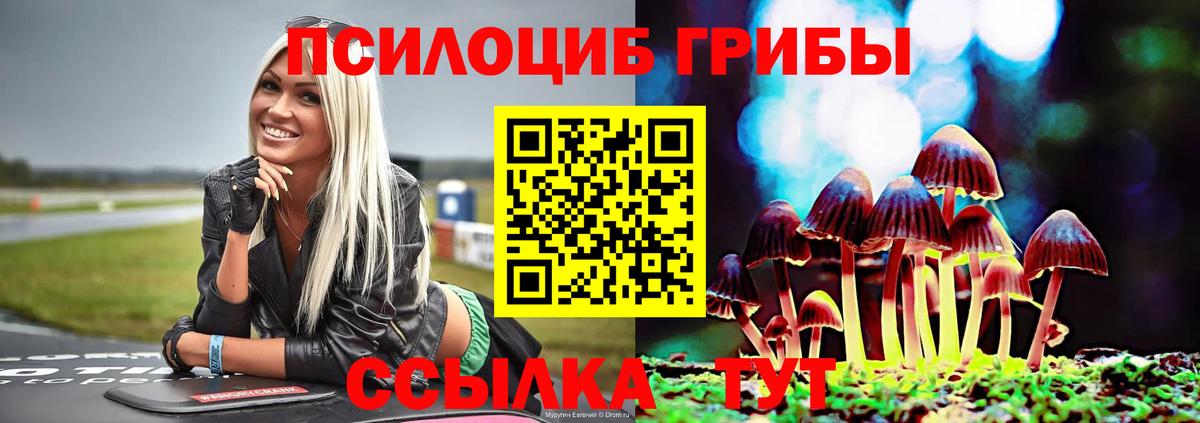 Кириши  купить наркоту  Вход с VPN  Галлюциногенные грибы MAGIC MUSHROOMS 